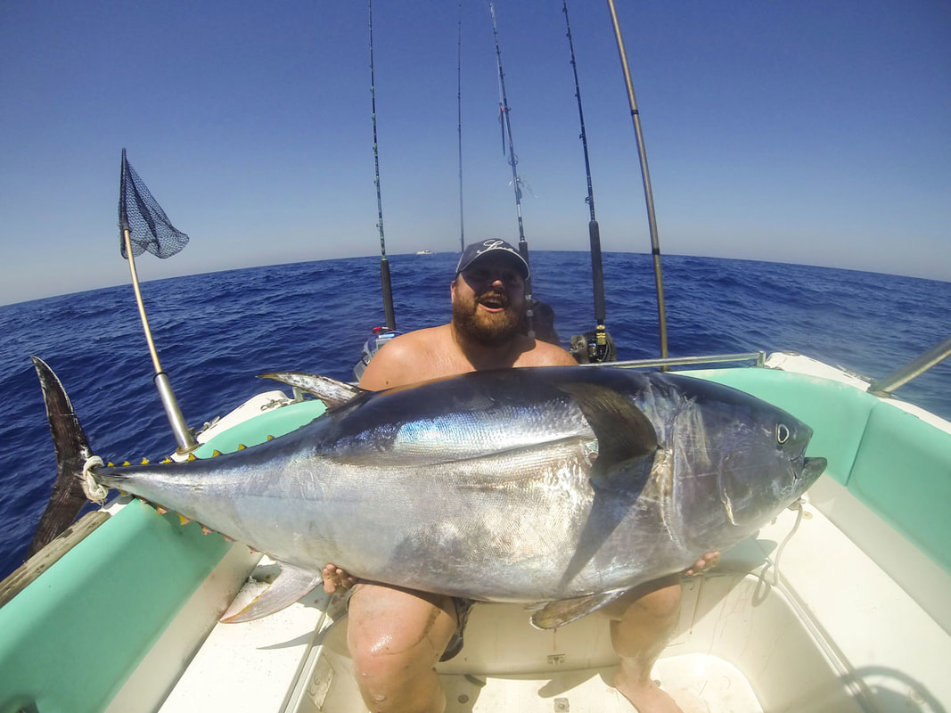 How to fish for tuna in the mediterranean sea. Sea fishing and