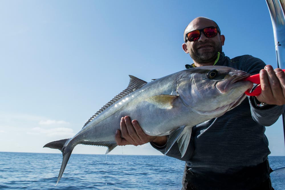 Amberjack fishing in Palermo