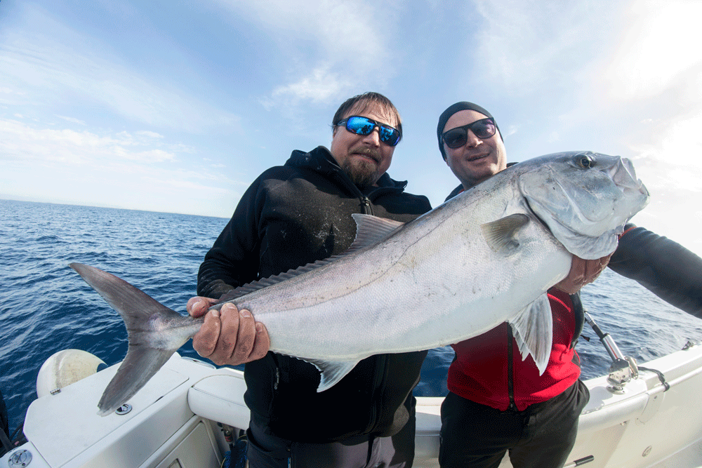 Amberjack fishing in Sicily